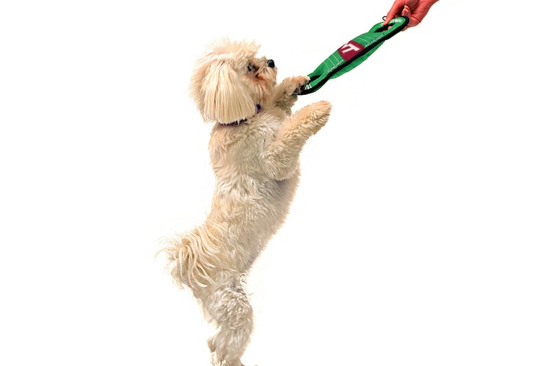 Pets First NCAA Football Field Dog Toy with Squeaker. - Virginia TECH Hokies - for Tug, Toss, and Fetch. - Tough& Durable PET Toy - Image 5